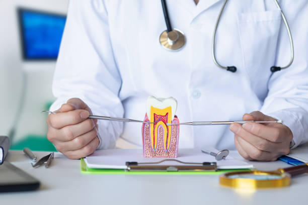 Best Emergency Dentist for Knocked-Out Tooth in Colorado City, AZ